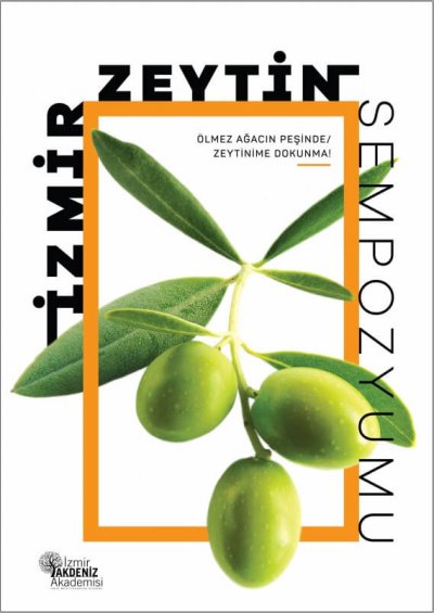 Kitap Kapağı Kitap Kapağı